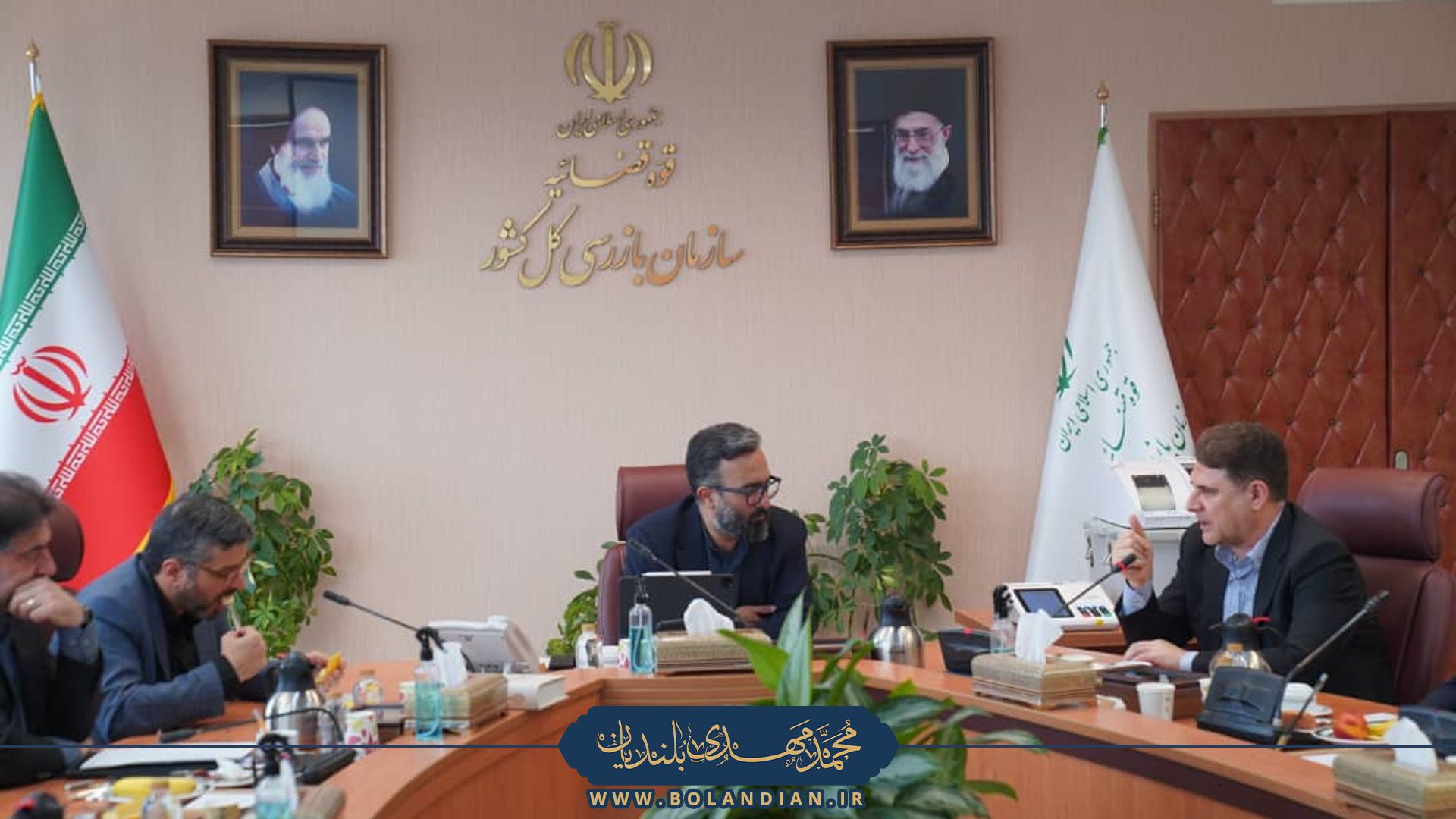 بازدید از انتخابات