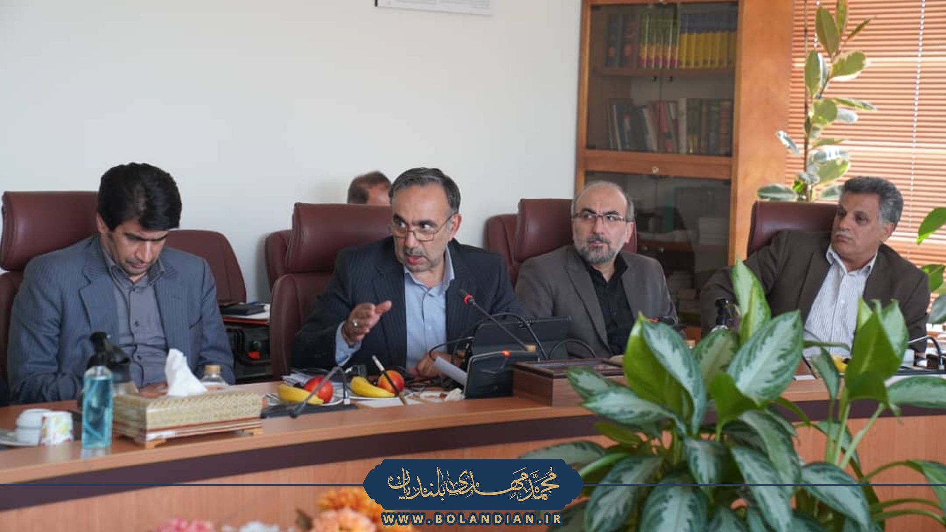 بازدید از انتخابات